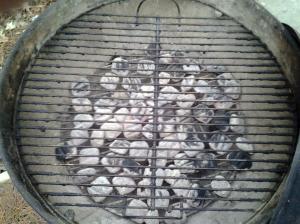 direct grill setup
